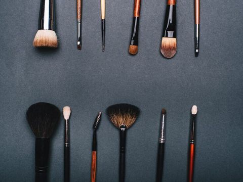 Makeup Brush Insights into Professional Techniques